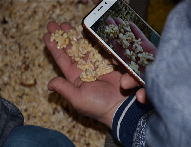 【河北】當?shù)睾颂胰嗜テぴ囼? /></div>
		<h2 id=