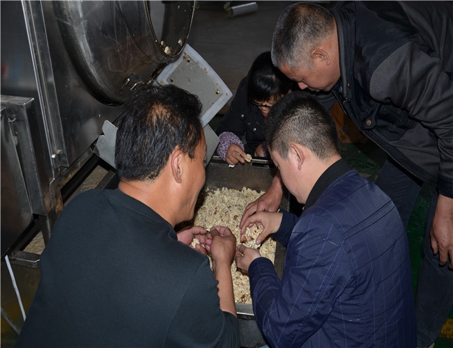 【新疆】核桃仁去皮機試機