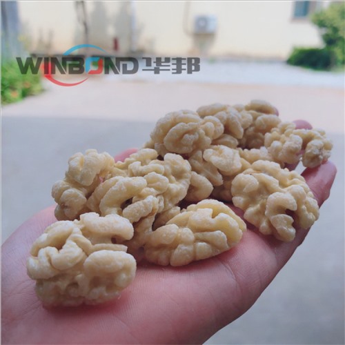 試機----全自動去皮生產流水線