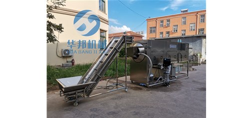 核桃仁怎么去皮 節水節能【核桃仁去皮機】華邦廠家直銷