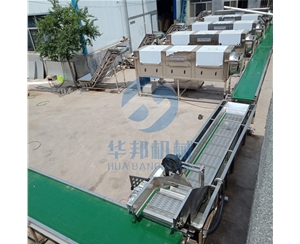 精密過濾 核桃仁脫皮機 華邦機械