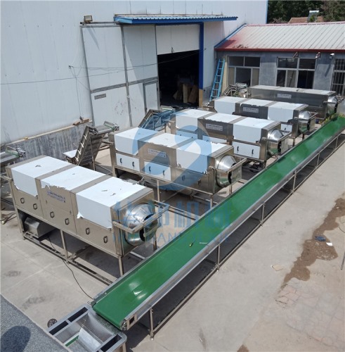 新疆核桃仁去皮機(jī) 都在用華邦機(jī)械核桃仁去衣機(jī)