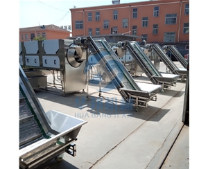 核桃仁去皮機(jī) 量身定制 終生維護(hù)