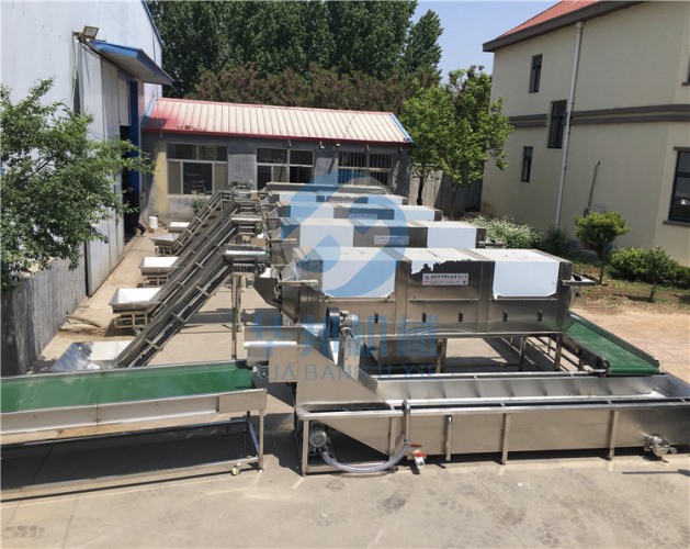 不影響口感 核桃仁去皮機 純物理