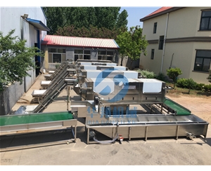 核桃仁去皮機 去皮率高達98% 2年保修