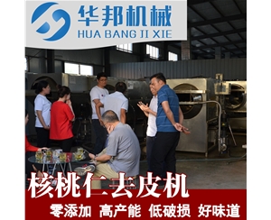 微米級 核桃仁去皮機