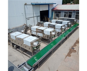 0添加純物理核桃仁去皮機