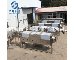 核桃仁去皮機 華邦機械現機考察