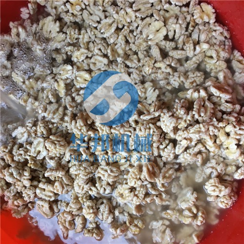 一人操作核桃仁去皮機 核桃仁深加工華邦機械