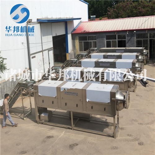 日產上噸核桃仁去皮流水線 連續式進行核桃仁去皮機