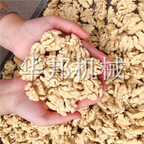 核桃仁脫皮機(jī) 華邦機(jī)械全自動核桃仁去衣流水線