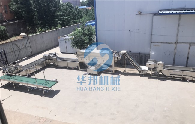 華邦機械核桃仁去皮機 脫皮率是多少