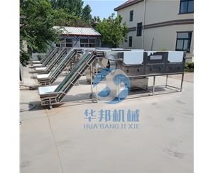 2019新型核桃仁去皮機 核桃乳前處理設(shè)備