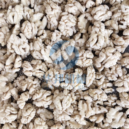 大產量 核桃仁去皮機