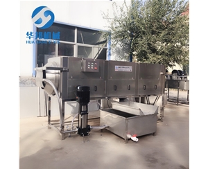 風味核桃仁去皮機 核桃仁去衣機