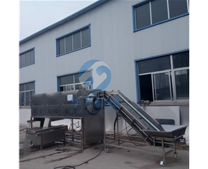 核桃仁去皮機 華邦機械核桃加工設備