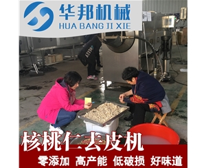 核桃仁去皮機 高壓循環水泵清洗機  脫皮機廠家