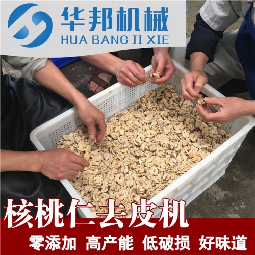 物理核桃仁去皮機廠 根據廠房定制 去核桃仁內皮的機器
