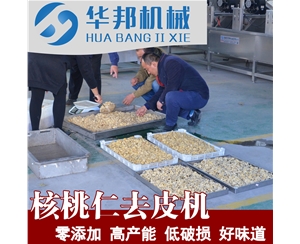 大型核桃仁去皮機哪家好 華邦核桃仁脫皮機