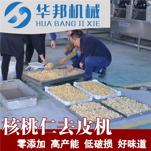 大型核桃仁去皮機哪家好 華邦核桃仁脫皮機