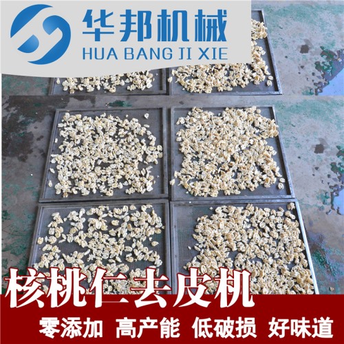 雙門大容量烘干機 核桃仁烘干設備 堅果烘干效果