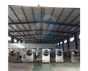 根據廠房 定制核桃仁去皮機