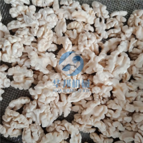 自動化生產核桃仁去皮機