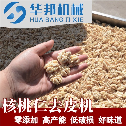 核桃仁去皮機  制作核桃粉需求設備 核桃仁脫皮機