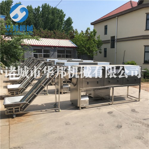 純物理核桃仁去皮機 全自動核桃仁去皮生產(chǎn)線