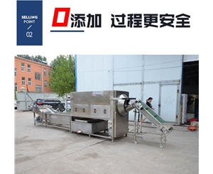 核桃仁去皮機組成流水線的設備