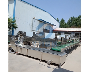 純物理高效率核桃仁脫皮機 核桃仁去皮機