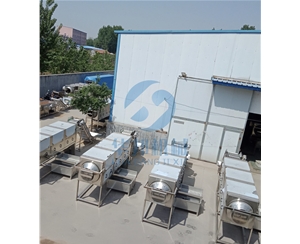 清水核桃仁去皮機 可調(diào)壓核桃仁脫皮機