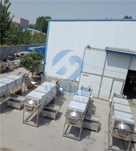 清水核桃仁去皮機 可調壓核桃仁脫皮機