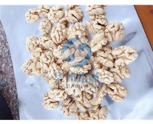 去皮率99% 核桃仁去皮機(jī)