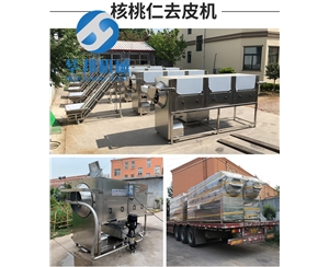 原理性質核桃仁去皮機