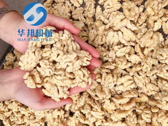 物理性質(zhì)核桃仁去皮機(jī)
