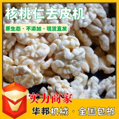 核桃銀杏去皮設(shè)備 深加工脫皮機(jī) 純物理