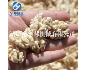 2021清水核桃仁去皮機(jī) 無(wú)堿核桃仁脫皮機(jī) 純物理工藝