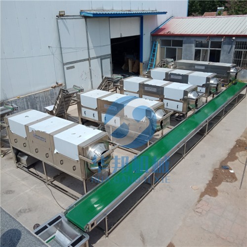 省人工 核桃仁去皮機(jī) 核桃仁脫皮機(jī)