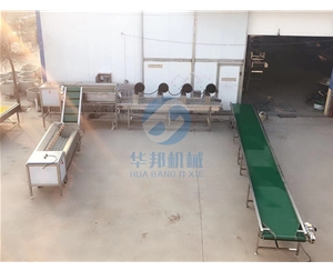 紅薯清洗機 紅薯清洗機廠家