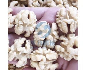 滾筒核桃仁去皮機 物理工藝