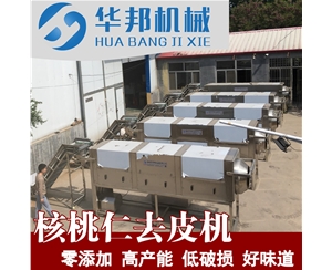 核桃仁去皮流水線 物理核桃仁去皮機 提供工藝技術
