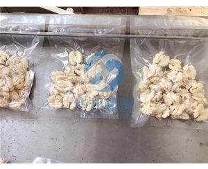 【多型號】核桃仁去皮機