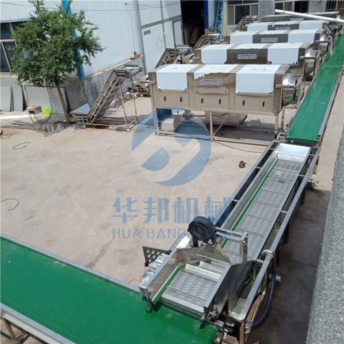 核桃仁去皮機(jī) 大型核桃仁脫衣生產(chǎn)線