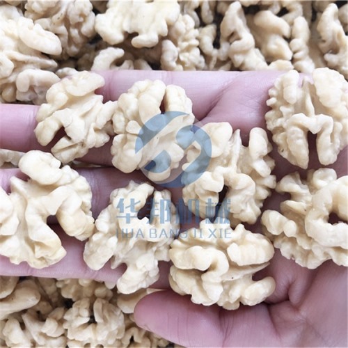 【報價】核桃仁去皮機