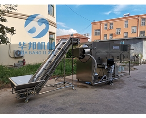 【廠家直銷】核桃仁去皮機