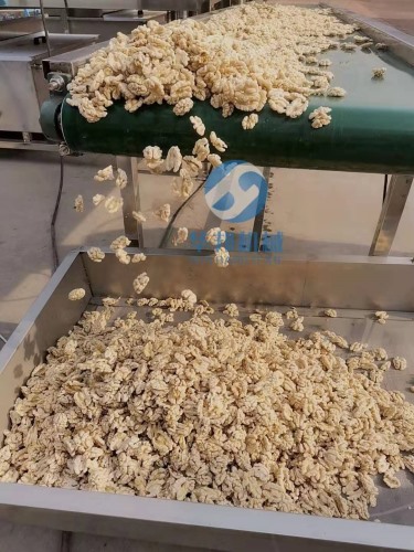 【全自動】核桃仁去皮機 核桃仁去衣機