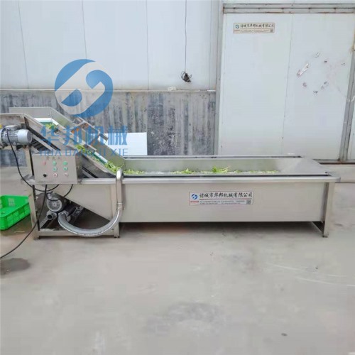 果蔬氣泡清洗機 凈菜加工設(shè)備 核桃仁清洗機