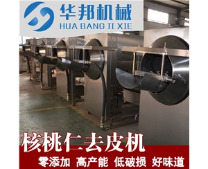 核桃仁去皮機 規格齊全 廠家直銷