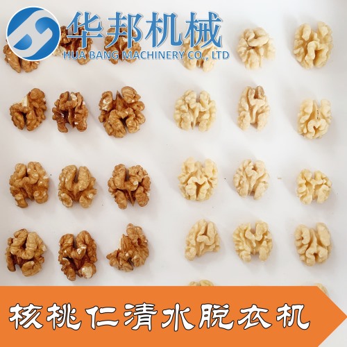 【華邦】去皮核桃仁設備 核桃仁去皮機 規格齊全 免費試機